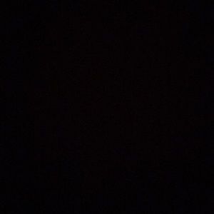 Meet your Posher, Daisy